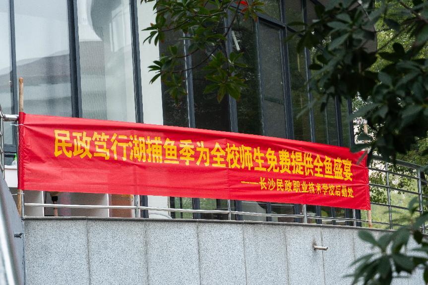 校园湖中捞出5000斤鱼!这所高校为师生提供免费“全鱼宴”